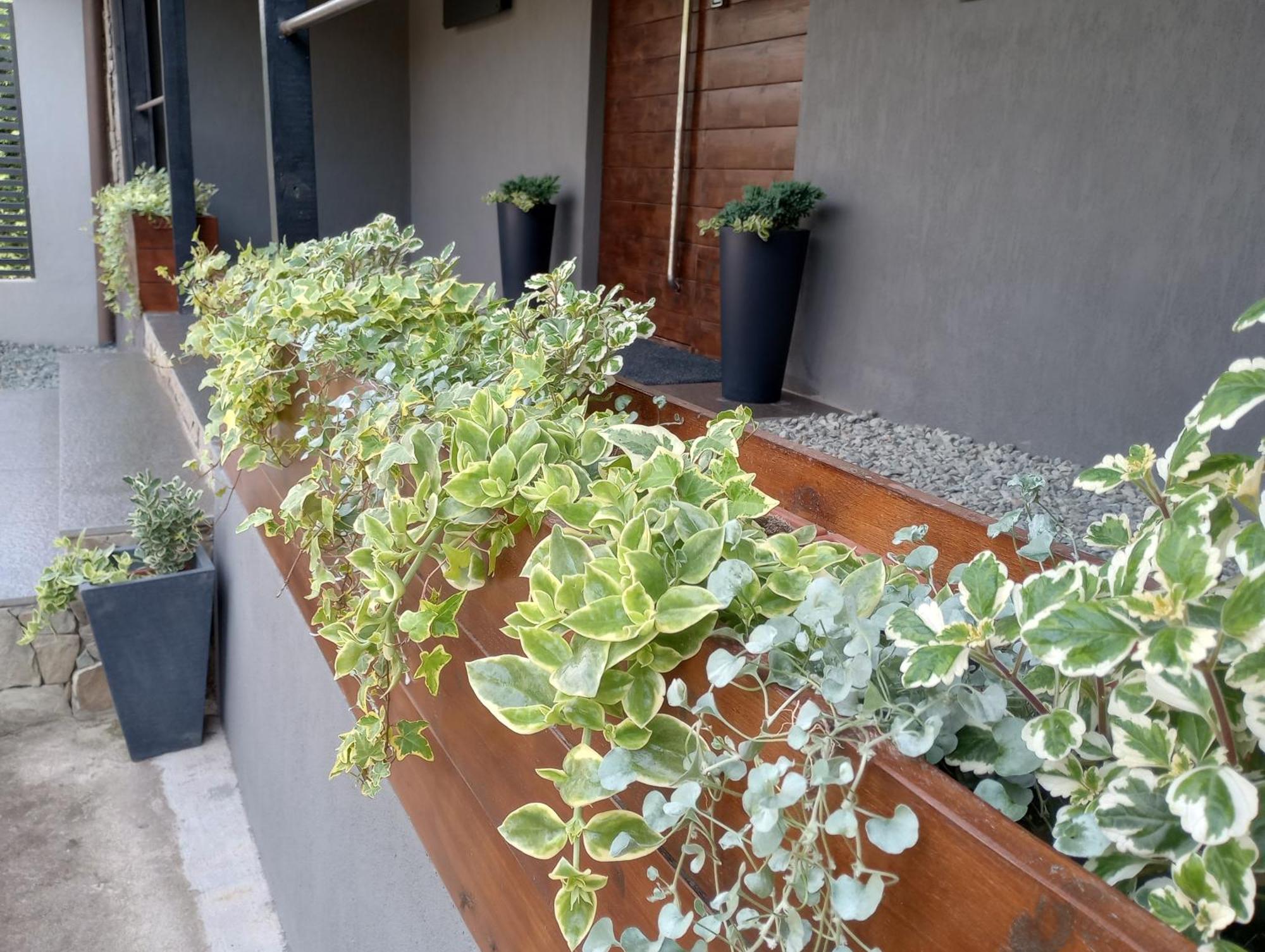 Vila Gosen Sard Ngoại thất bức ảnh